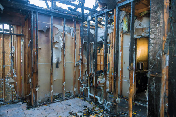 Professional Emergency Fire Cleanup technician working in Vineyards, FL
